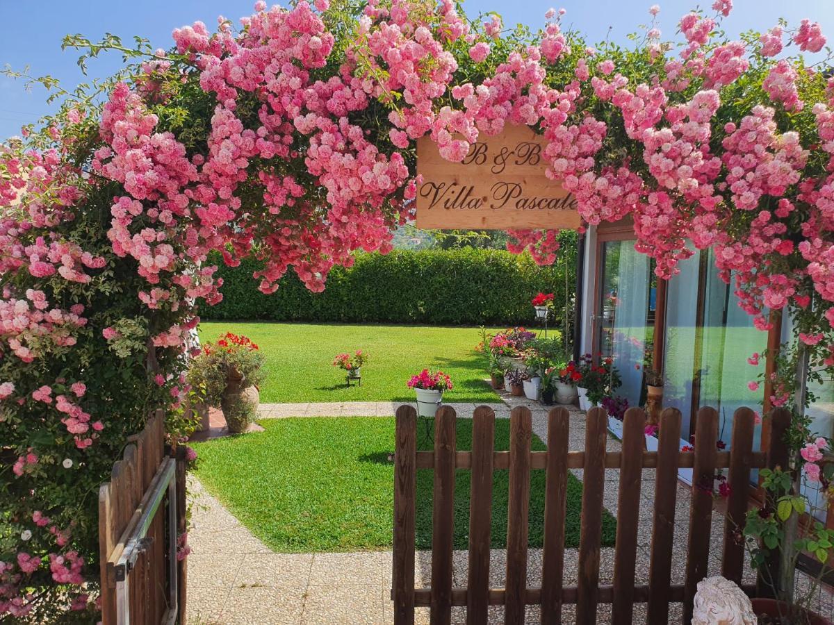 Villa Pascale - B&B - Casa Vacanze 卡斯特拉巴特 外观 照片